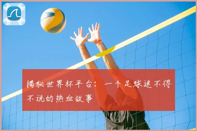 揭秘世界杯平台：一个足球迷不得不说的热血故事