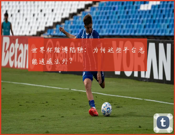 世界杯赌博陷阱：为何这些平台总能逍遥法外？