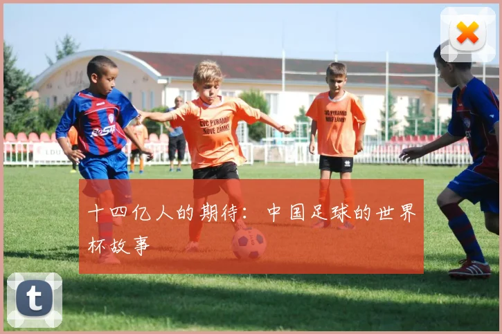 十四亿人的期待：中国足球的世界杯故事