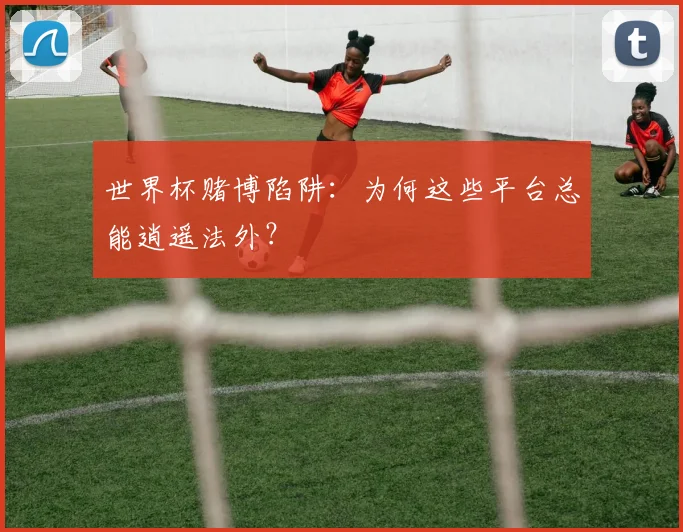 世界杯赌博陷阱：为何这些平台总能逍遥法外？