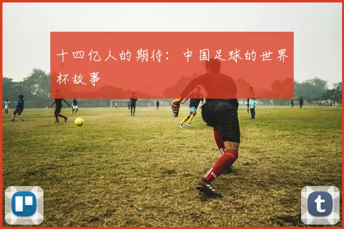 十四亿人的期待：中国足球的世界杯故事