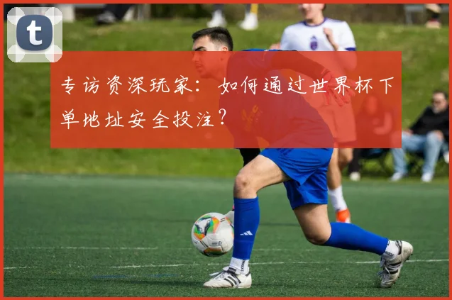 专访资深玩家:如何通过世界杯下单地址安全投注?