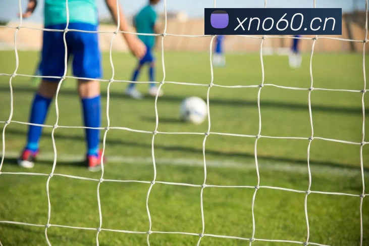 hth网页版服务体系